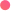 Pioffer